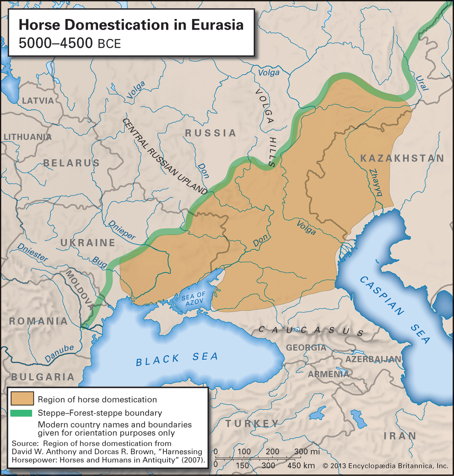 Domestication of Horses: Insights from Ancient DNA Research